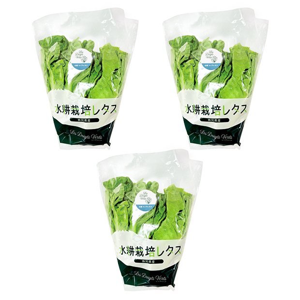 水耕栽培 マノアレタス3袋セット