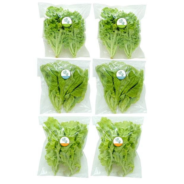 水耕栽培レタスお得な食べ比べセット