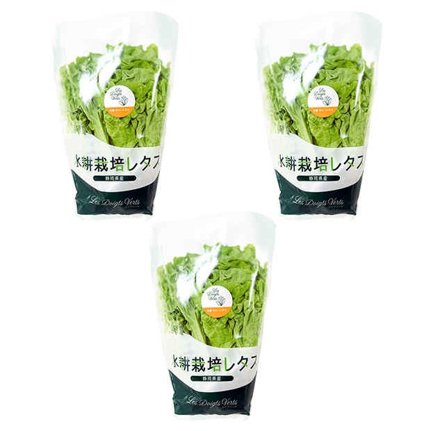 水耕栽培 サニーレタス 3袋セット