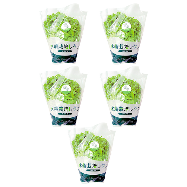 水耕栽培 フリルレタス5袋セット