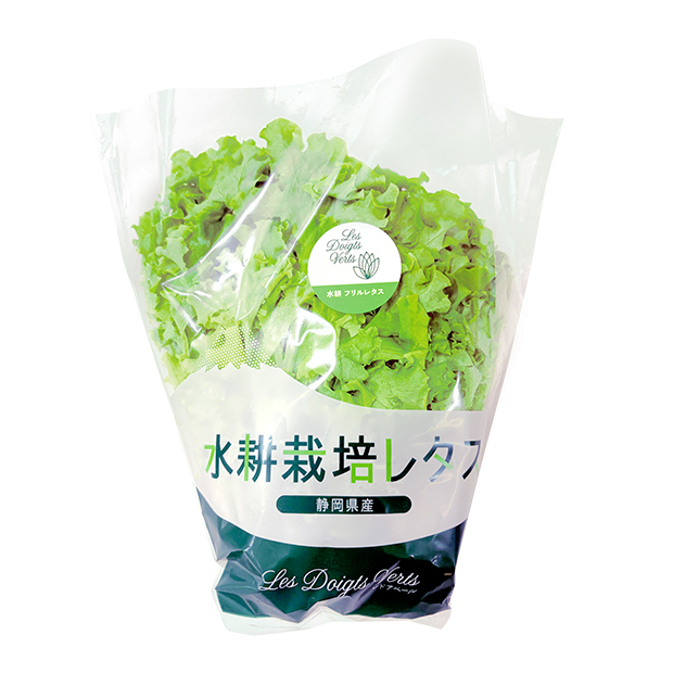 水耕栽培フリルレタス
