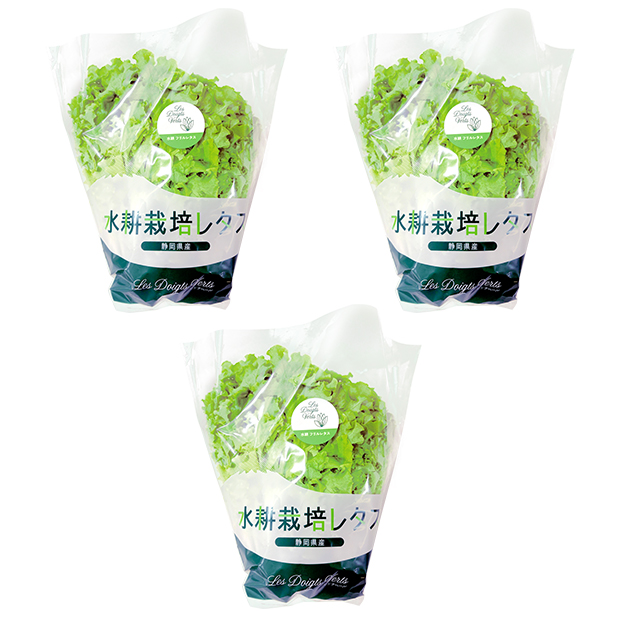水耕栽培 フリルレタス3袋セット