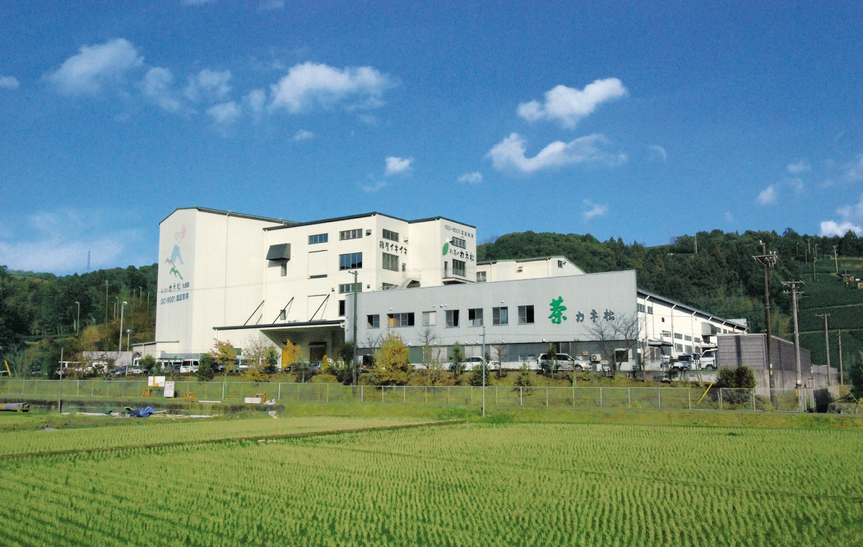 カネ松製茶株式会社
